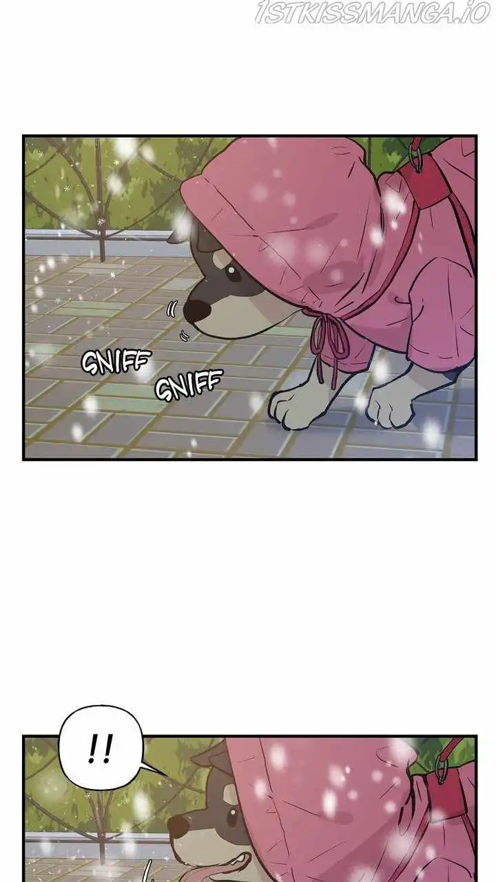 Protect Me, Knight Chapter 59 40